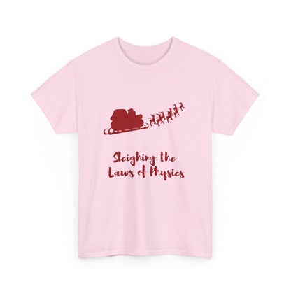 Sleighing the Laws of Physics  Tee