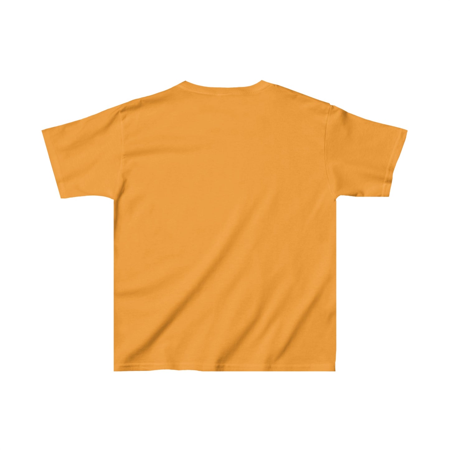 It's the Glory of the A+ I Seek Kids Heavy Cotton Tee