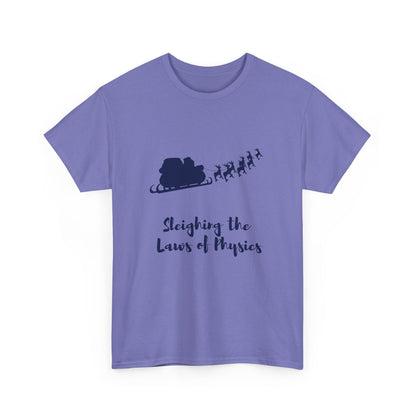 Sleighing the Laws of Physics  Tee