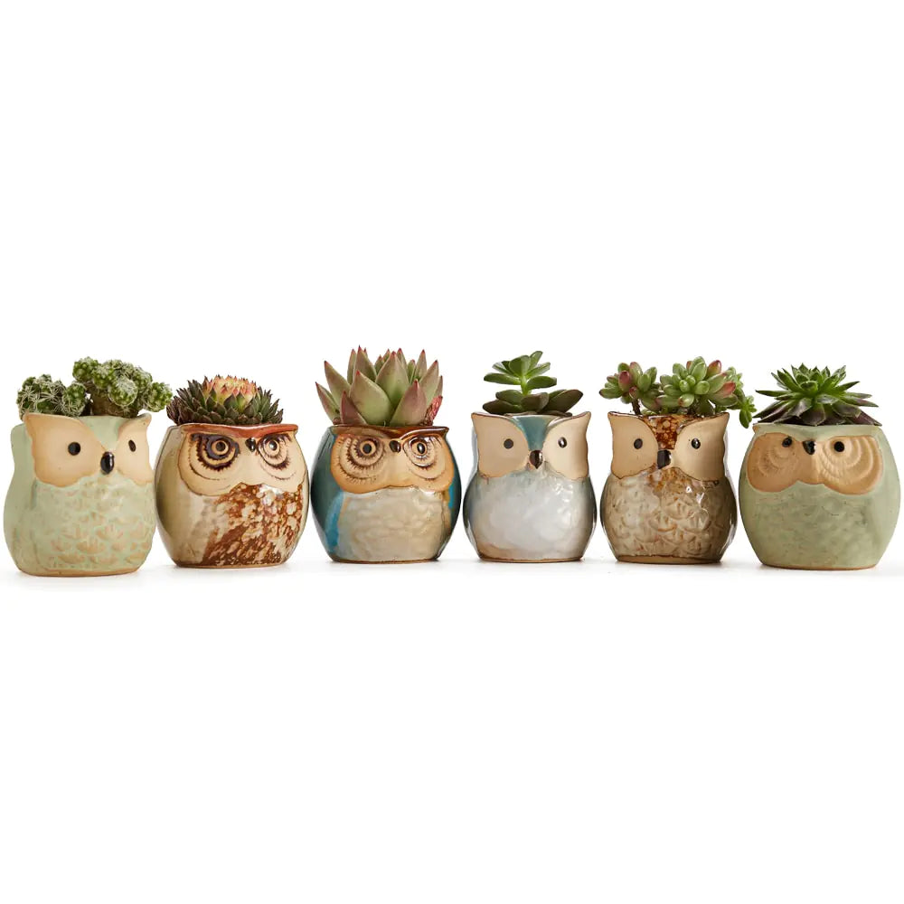 6-Piece Owl Pot Ceramic Glaze Base Set