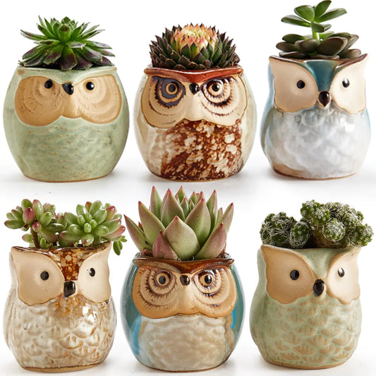 6-Piece Owl Pot Ceramic Glaze Base Set